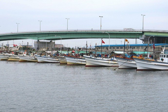 🐟 오카다우라 어항(오카다우라교코) 이미지 1